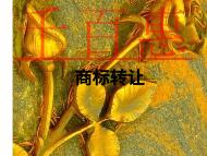 商標轉(zhuǎn)讓的形式和潛在問題?